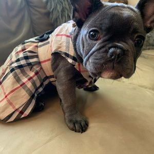 Pet Plaid Bow Dress